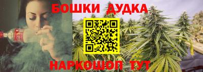 стаф Краснодар